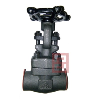 gate valve CS thread and sw3